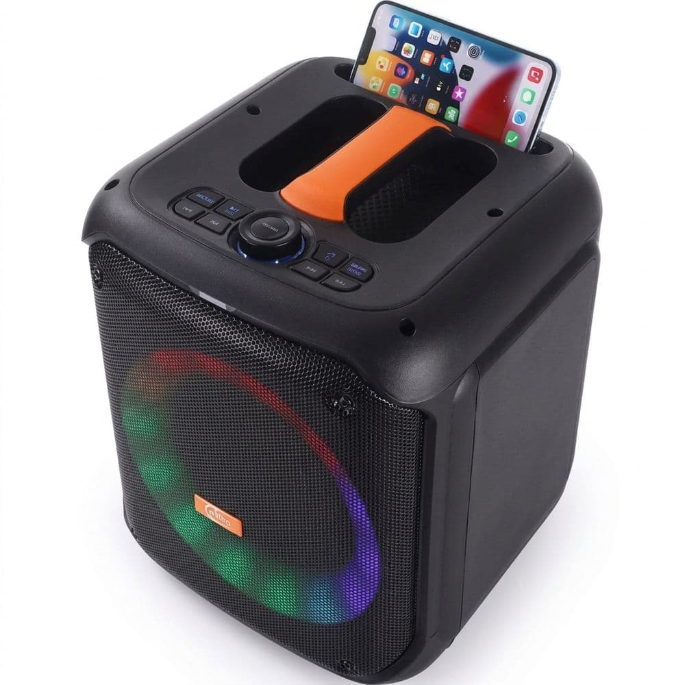 PARLANTE ANNECY PORTATIL RECARGABLE 18000W P.M.P.O CON MICROFONO Y LUZ